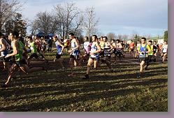 Begles 15.12.13 01 1015 * 679 x 453 * (171KB)